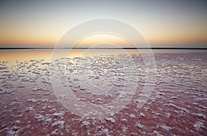 Salt and Brine of a pink lake, colored by microalgae Dunaliella salina at sunset