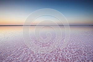 Salt and Brine of a pink lake, colored by microalgae Dunaliella salina at sunset