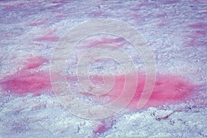 Salt and brine on the surface of pink lake