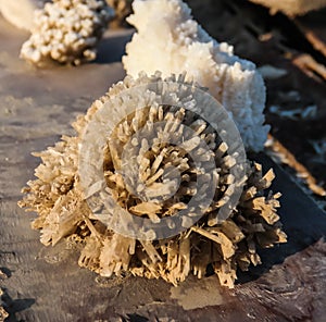 Salt cristal from the Assal lake Djibouti