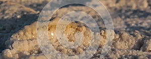 Salt cristal from the Assal lake Djibouti