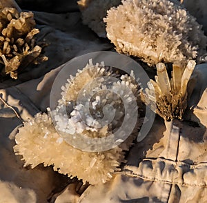 Salt cristal from the Assal lake Djibouti