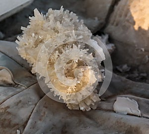 Salt cristal from the Assal lake Djibouti