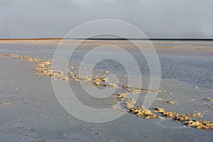 Salt crust on Lake Assale photo