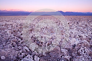 Salt crust in the Salar de Atacama