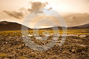 Salt crust at the shore of Lagoon and salt lake Tuyajto photo