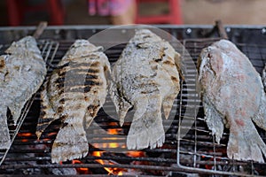 Salt-Crusted Grilled Fish