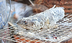 Salt Crusted Grilled Fish.