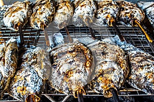 Salt-Crusted Grilled Fish