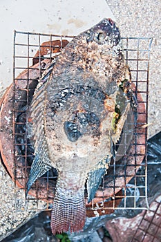 Salt-Crusted Grilled Fish