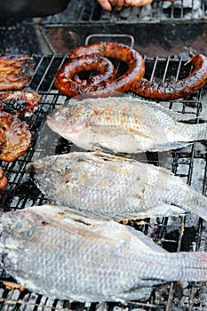 Salt-Crusted Grilled Fish