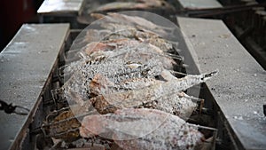 Salt-crusted grilled fish