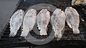 Salt-Crusted Grilled Fish.