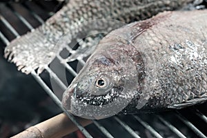 Salt-crusted grilled fish