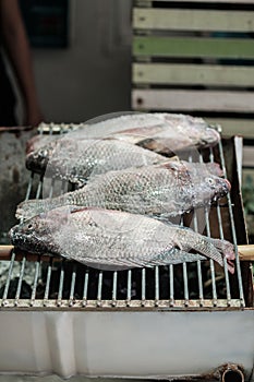 Salt-crusted grilled fish