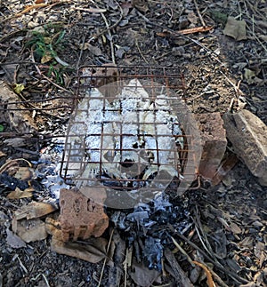 Salt-Crusted Grilled Fish on gridiron and charcoal