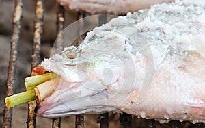 Salt-Crusted Grilled Fish Grill on Charcoal Stove
