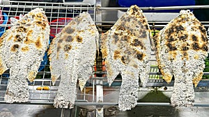 Salt-crusted grilled fish rest on grill rack at street food market