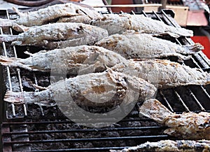 Salt Crusted Grilled Fish on stove