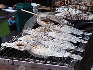 Salt Crusted Grilled Fish on stove