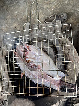 Salt Crusted Grilled Fish , street Thai food.