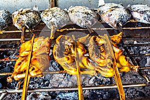 Salt-Crusted Grilled Fish, Thai Grilled Chicken