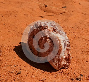 Salt crystal in the Saline Demi dry lake, Fada, Ennedi, Chad photo