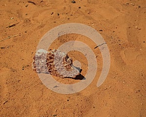 Salt crystal in the Saline Demi dry lake, Fada, Ennedi, Chad