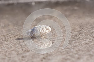 Salt Crystal at the Salt Lake in Djibouti photo