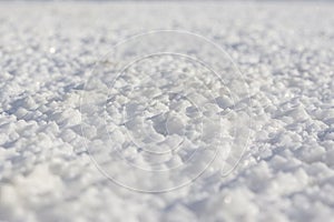 Salt crystal survace at Salt Lake photo