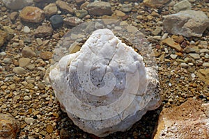 Salt crystallisation at coast of the Dead Sea, Jordan