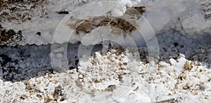 Salt crystallisation at coast of the Dead Sea, Jordan