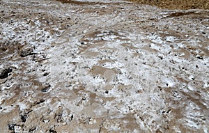 Salt crystallisation at coast of the Dead Sea, Jordan