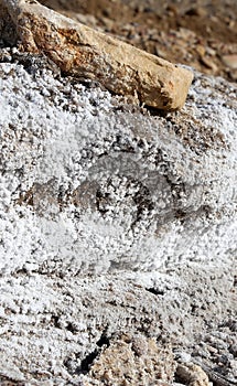 Salt crystallisation at coast of the Dead Sea, Jordan