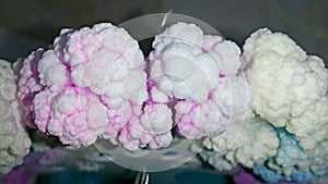 Salt crystallization