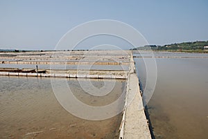 Salt Crystallization Fields at Seca, Slovenia