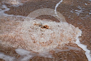 Salt crystals being modelled by the water in the Dead Sea of Israel