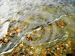 Salt crystals in the Dead Sea