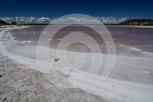 Salt deposits at Timperley lake. Rottnest Island. Western Australia. Australia