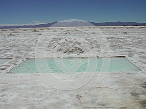 The salt desert of Salta photo