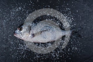 Salt dorada on the dark stone table