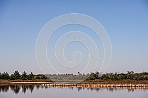 Salt evaporation lake shores. An industrial salt plant produces - natural sea salt