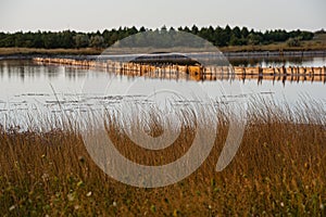 Salt evaporation lake shores. An industrial salt plant produces - natural sea salt