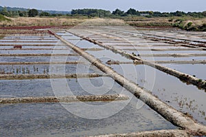 Salt evaporation pond