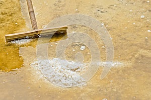 Salt in evaporation pond