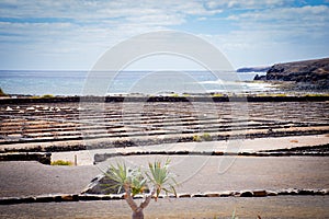 Salt evaporation ponds in Salinas, Lanzarote,