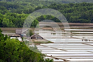 Salt Farm in Vietnam