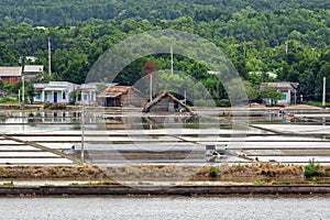 Salt Farm in Vietnam