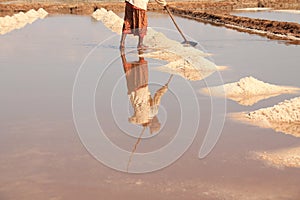 Kampot Salt Field worket harvesting salt