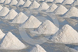 Salt farmers carry salt into the shed